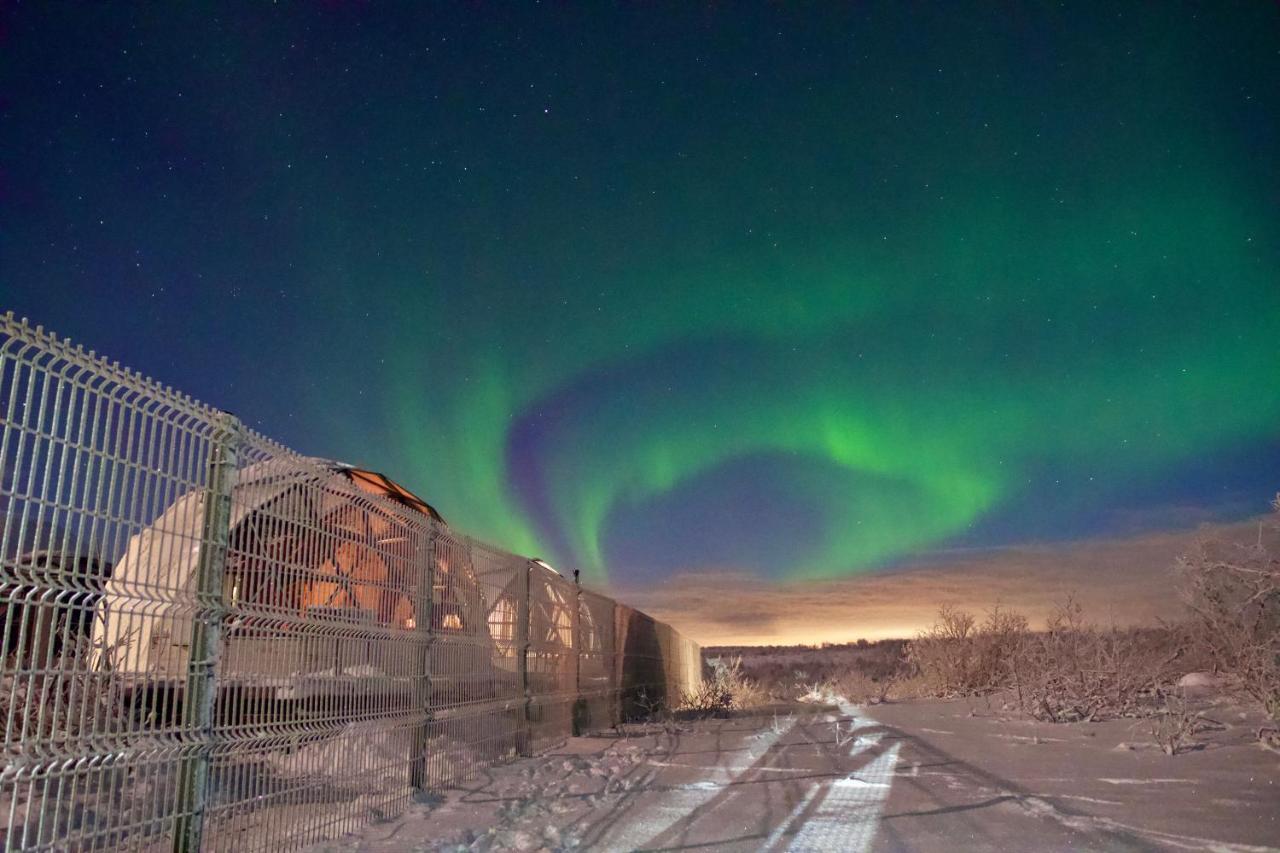 Глэмпинг Aurora Village Murmansk Exteriér fotografie