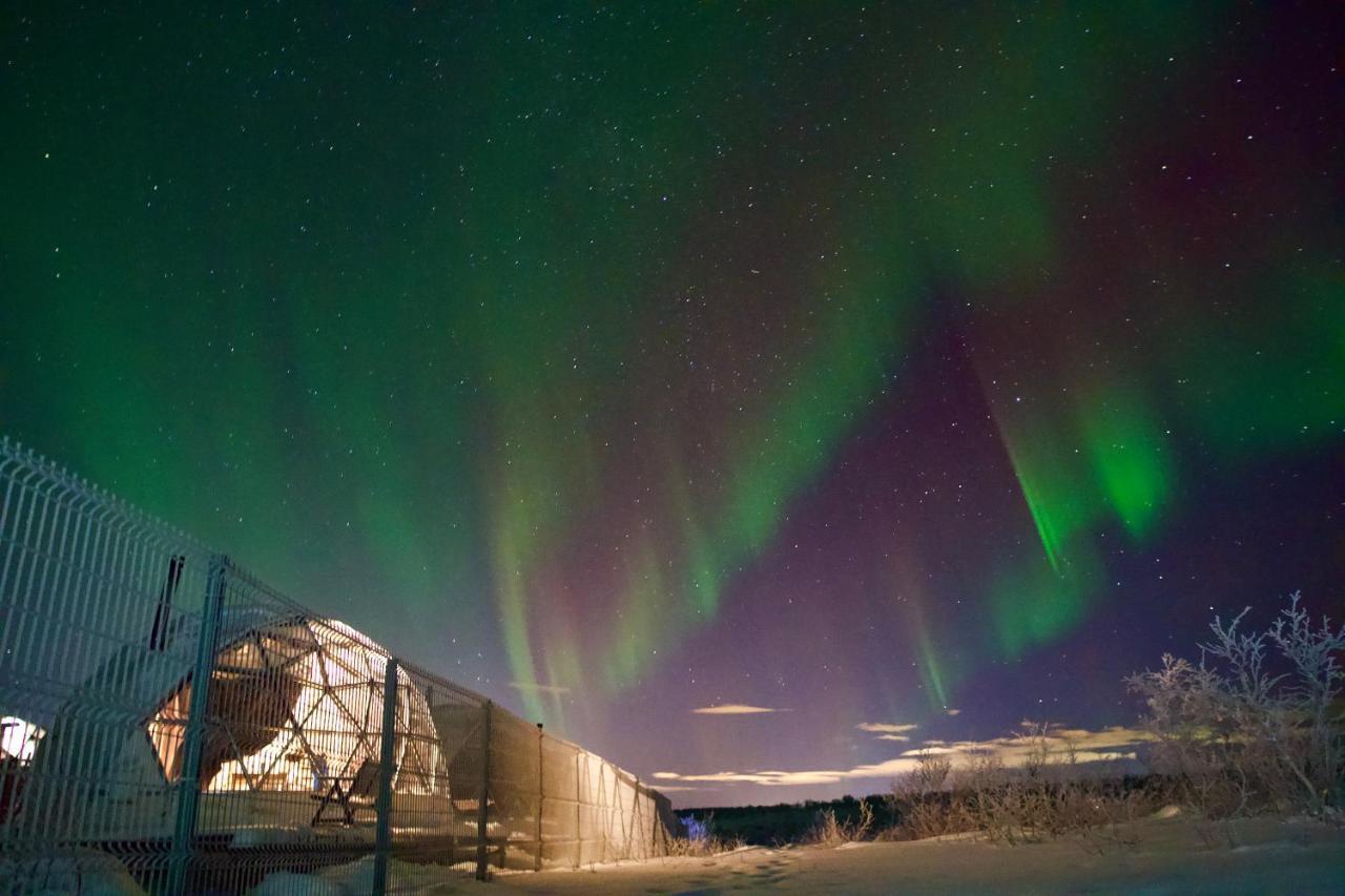 Глэмпинг Aurora Village Murmansk Exteriér fotografie